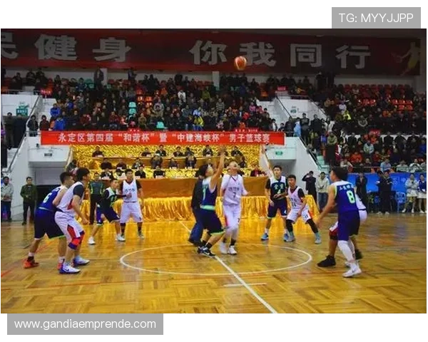 体育直播登录流程优化,确保用户安全便捷地进入精彩赛事现场