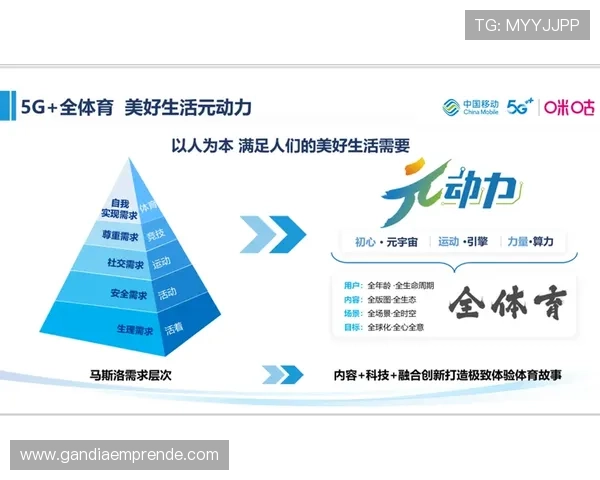 多米体育中国携手多方合作打造多元化体育生态体系