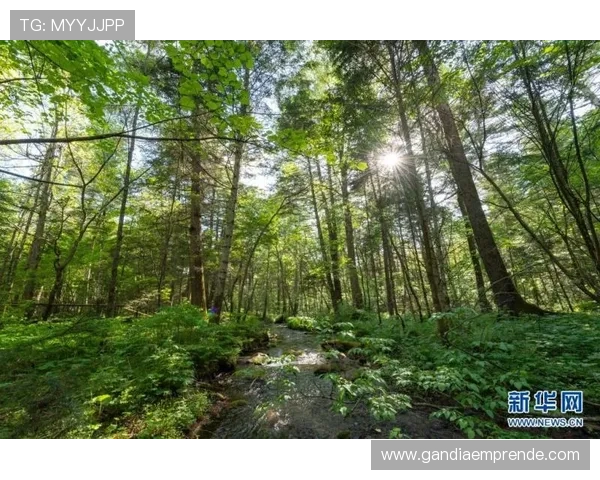 利用江苏省体育场馆协会爱企查平台实现体育场馆企业数据的快速查询与行业动态掌握